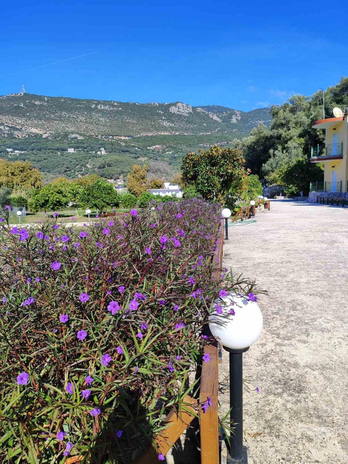 Villa Perkemes Apartments Parga Extérieur photo